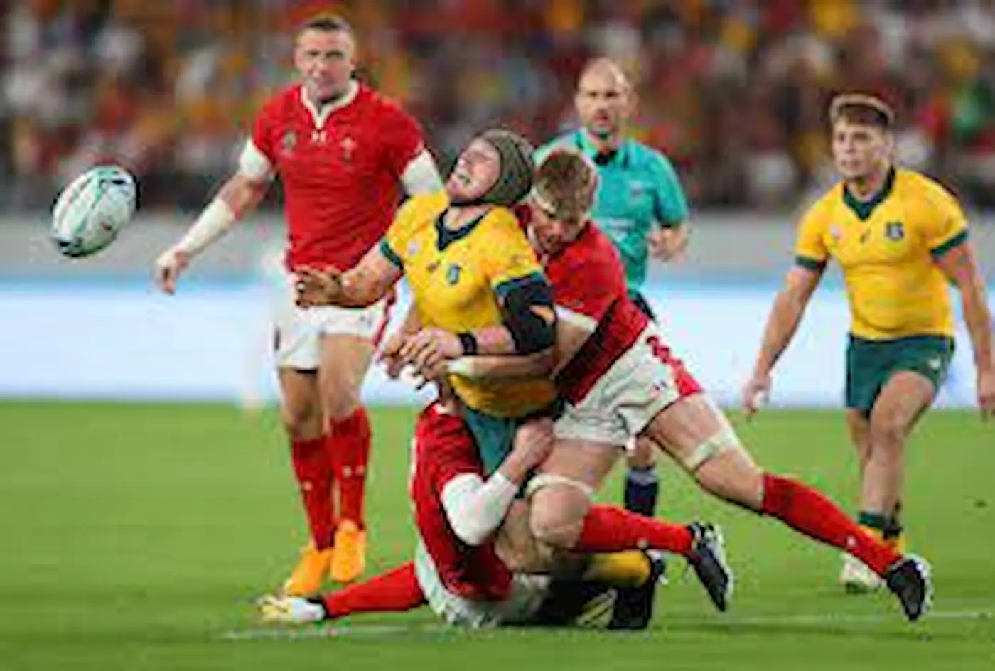 5 Tips for Attending a Rugby World Cup