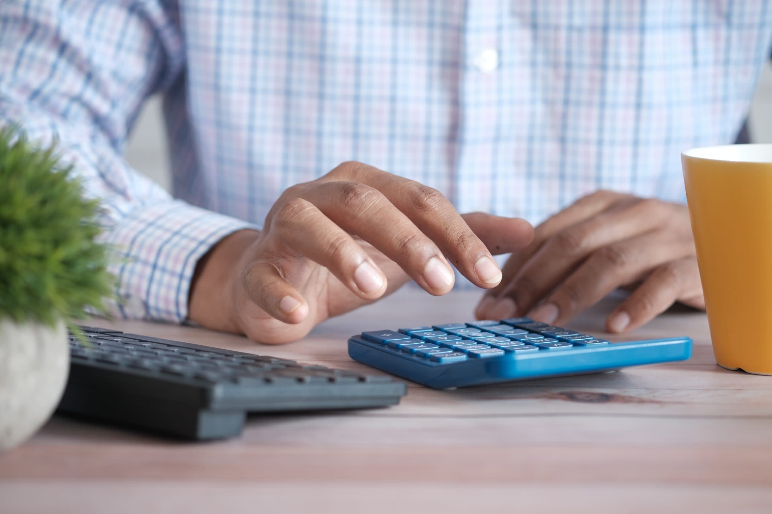 What are my rights as an immigrant taxpayer in the US?