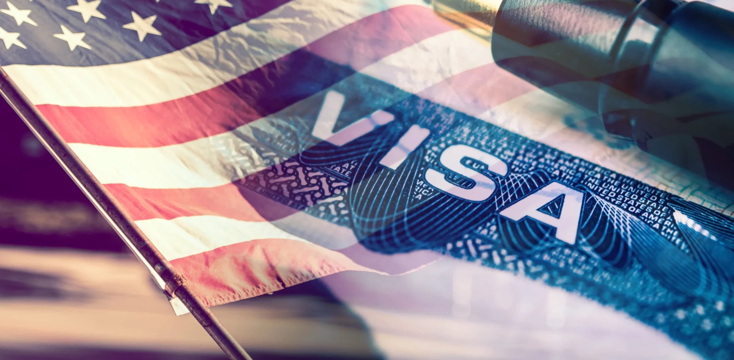 U.S. Visa Appointments (2025)